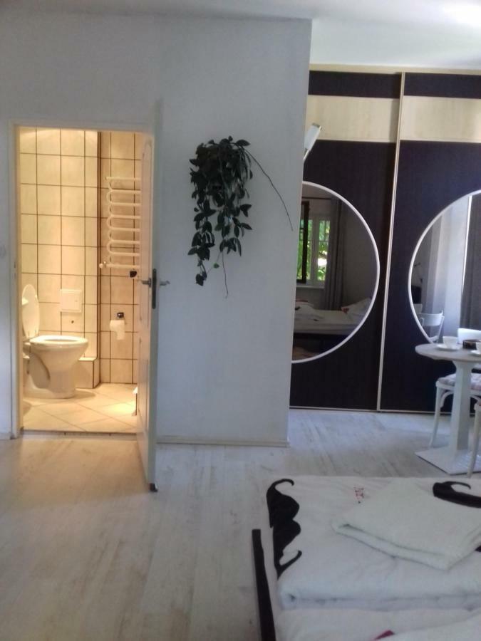 Bialy Apartament Поляница-Здрой Екстериор снимка